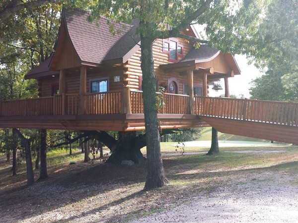 Tree House Campground in Ridgedale