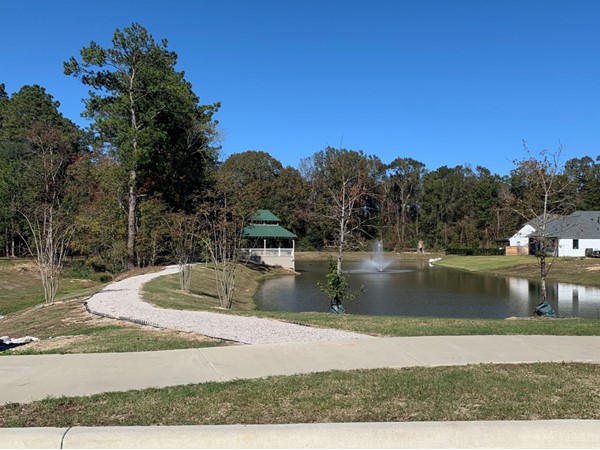Lake and pavilion in Arbor Grove subdivision off of Joor Road