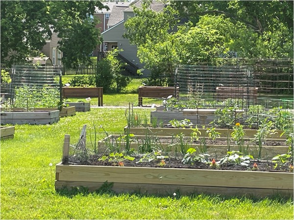 Love Liberty's Downtown community garden and all of the area