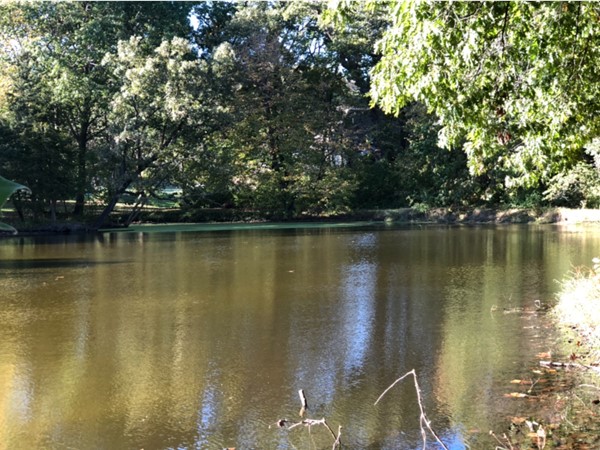 One of several ponds located in Canterbury Trails 