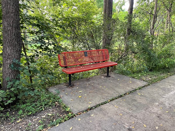 Take a moment to reflect as you walk on the South Main bike trail. Many benches are by the trail