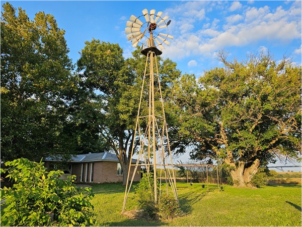 Roga Pumpkin Patch - one of the coolest windmills I've seen around here. 