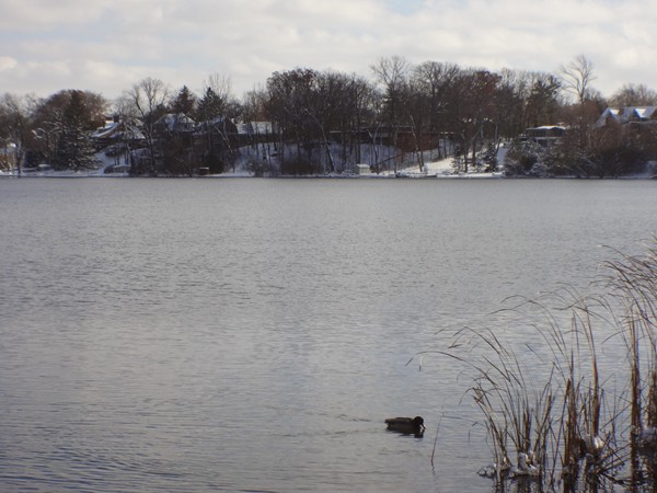Early winter view of Reeds Lake
