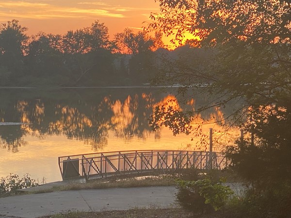 Hickory Hills adjoins Wheeler Wildlife Refuge!   It’s an awesome place to live!