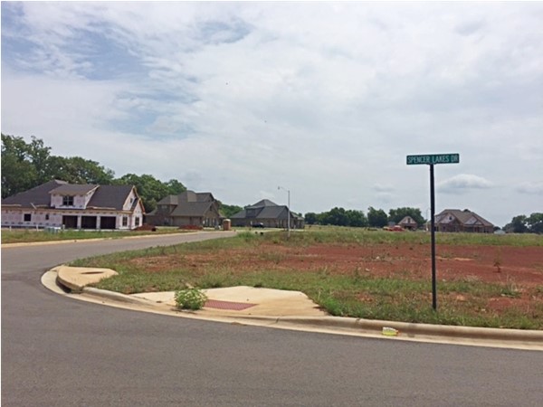 Spencer Lakes is on its way to being one of the premier communities in Meridianville