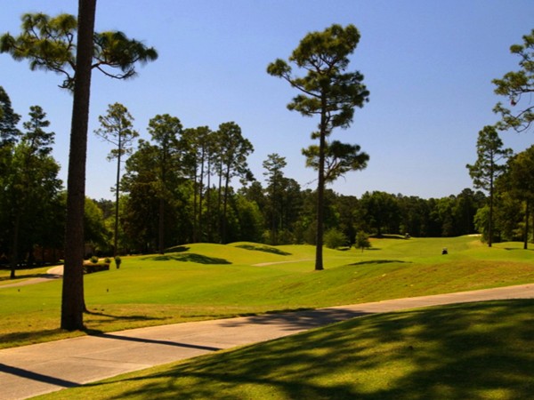 TimberCreek Golf Course -- Life is good