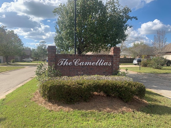 Welcome to The Camellias 