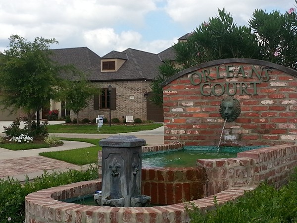 Located inside Twelve Oaks Subdivision, this section features beautiful, new construction homes