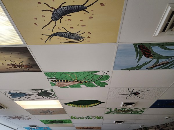 Art at the Topeka Zoo