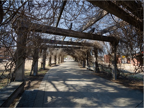 A wysteria-covered walkway in Peabody Park in downtown Little Rock
