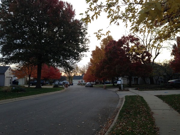 Autumn morning in Springwood Heights, Lawrence