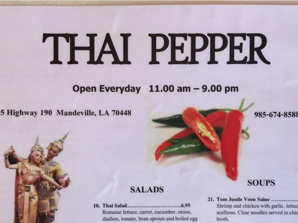 Thai Pepper has awesome Coconut-Chicken soup and a host of other yummies