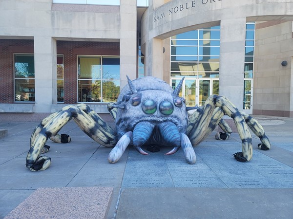 The Sam Noble Museum is having a spider exhibit for the month of October