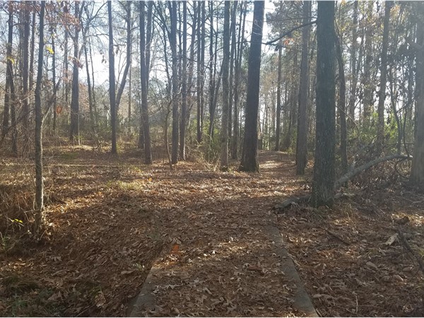 Walking trails in Otter Creek subdivision   