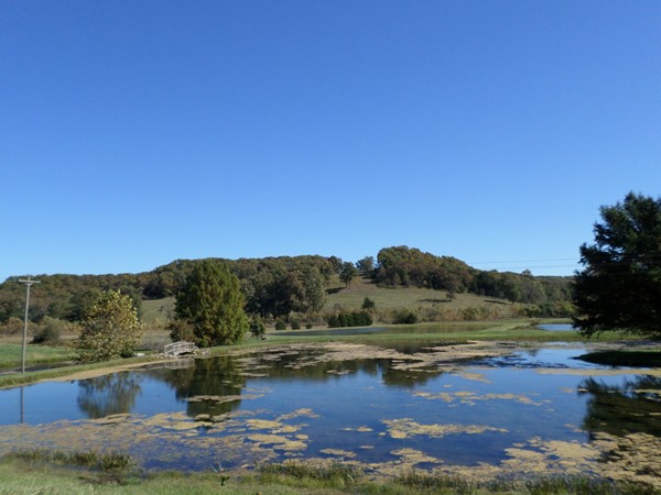 Farm pond in Macks Creek Mo