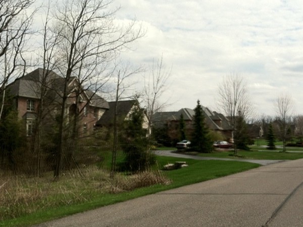 Street view of the Meadows of Grand Blanc in early spring
