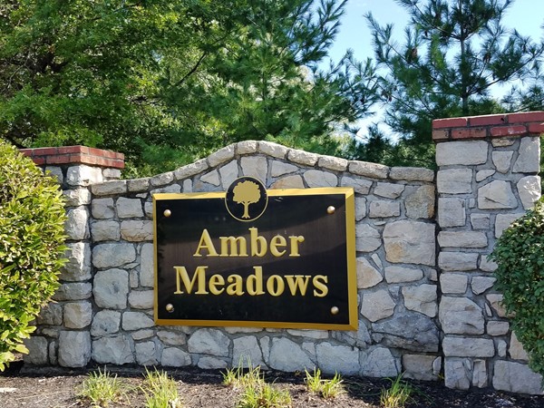 Amber Meadows in South Overland Park is an established, classic neighborhood