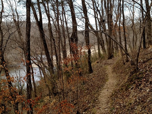 The lovely colors of winter - hike at Tyler Bend, Searcy County