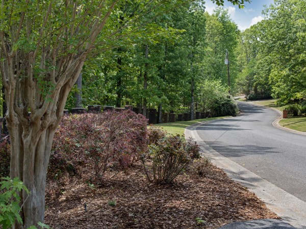 A nature lover's paradise. Windwood Estates' homes have at least three acres of wooded nature