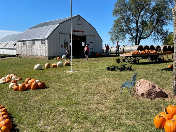 Pumpkins Etc. is a breath of fresh fall air! Great place for a family fall outing