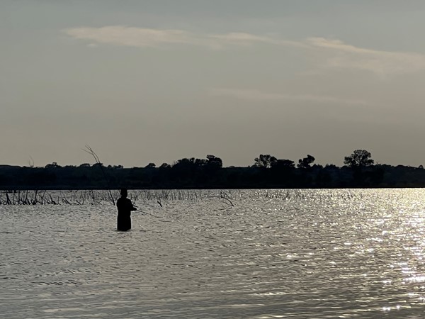 As dusk comes in a fisherman wades out in the water to make a perfect cast