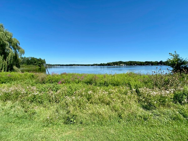 Lake Chemung in Oceola Township