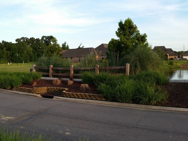 Carriagewood Estates has beautiful common areas with sidewalks throughout the neighborhood
