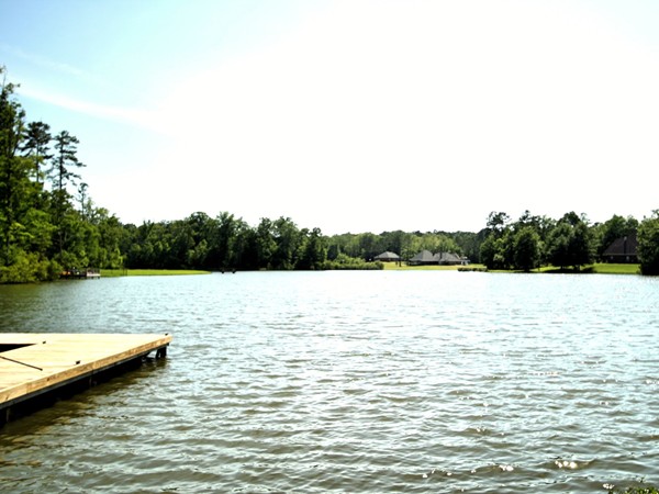This beautiful lake is in the North Ridge Park section of North Brandon Estates