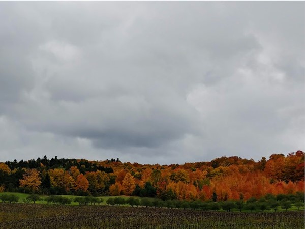We love the colors on the drive from Suttons Bay to Lake Leelanau