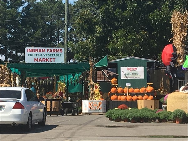 Fresh, seasonal vegetables and pumpkins at Ingram Farms Market