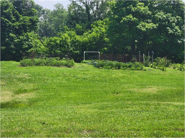 Gardening in Thorndale with plenty of yard space 