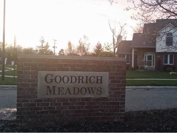 Goodrich Meadows Neighborhood a great place to live 