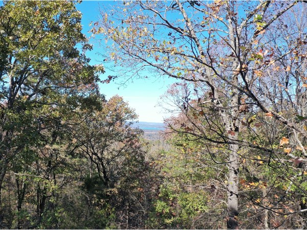 A peek of Greers Ferry Lake in Hillcrest Woods Subdivision