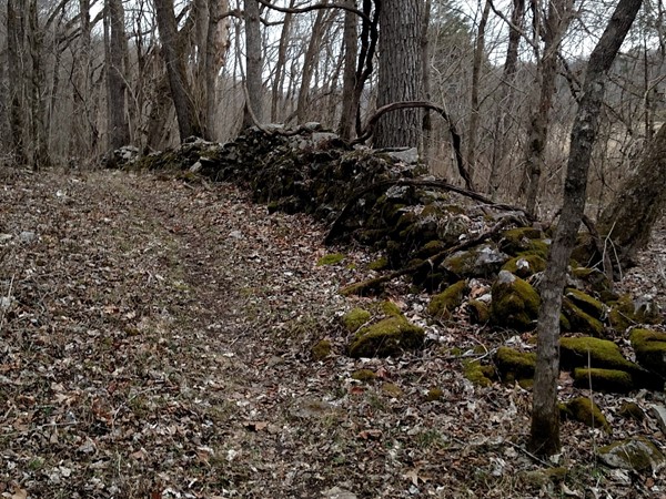 Rock wall along the River View Trail in Tyler Bend. Wonder what it looked like years ago?