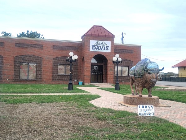 Love the shiny buffalo in front of the Davis Chamber of Commerce  