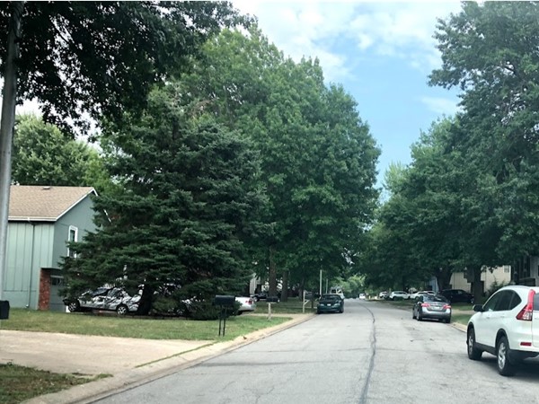 The quiet neighborhood of Mill Valley Estates