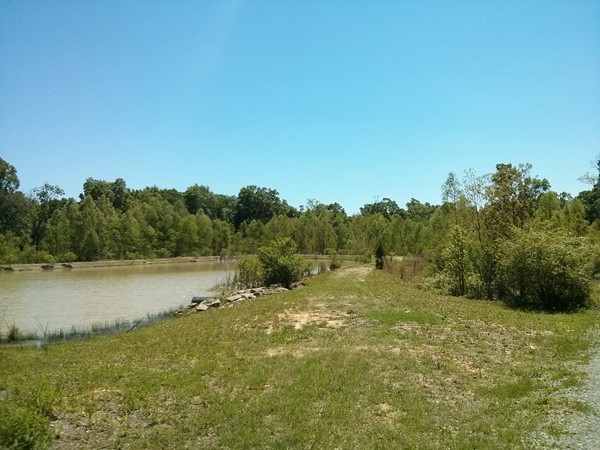 The Landing at Mallard Lakes common area