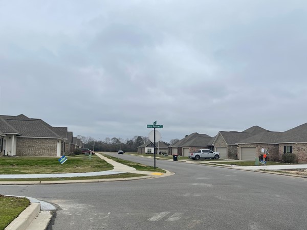 Avery Meadows street view