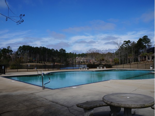 View from a pool: The lake in Stillwater, Spanish Fort, AL
