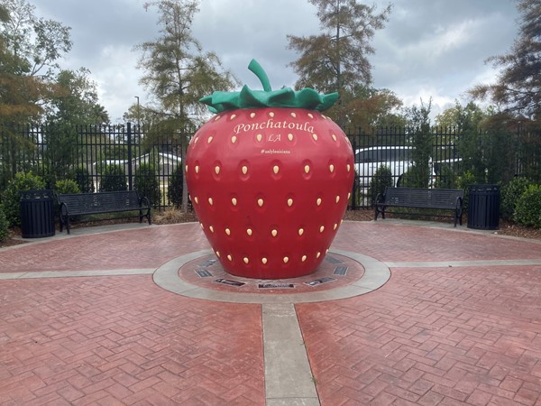 Welcome to the Strawberry Capital of the World