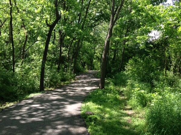 Walking trail near Sequiota Park, which is next to a babbling creek