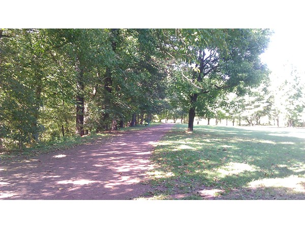 Walking trails and picnic area of Brookside Park.