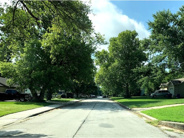 The quiet and green neighborhood of Ridgeview South