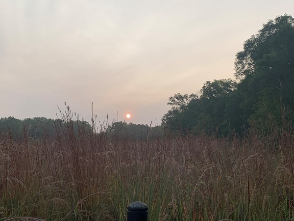 Sunrise over the prairie at Big Woods Lake. A great location for animals and birds to roam