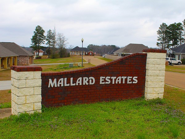 Mallard Estates features nice Acadian-style homes with an average price of $260,000
