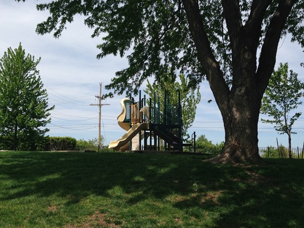 Oaks of North Brook community playground