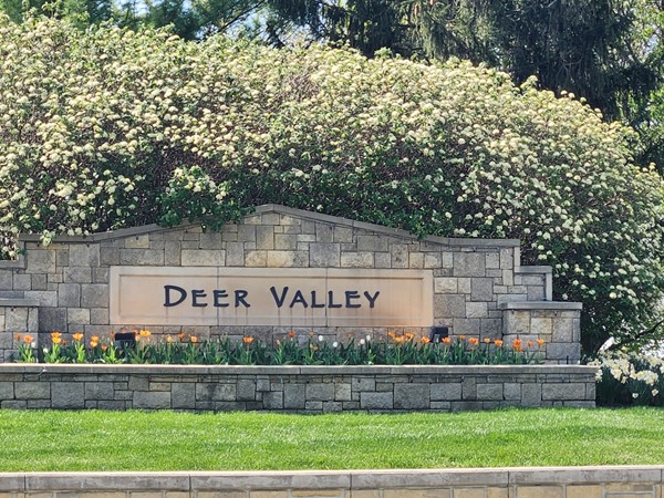Deer Valley...beautiful place to live!