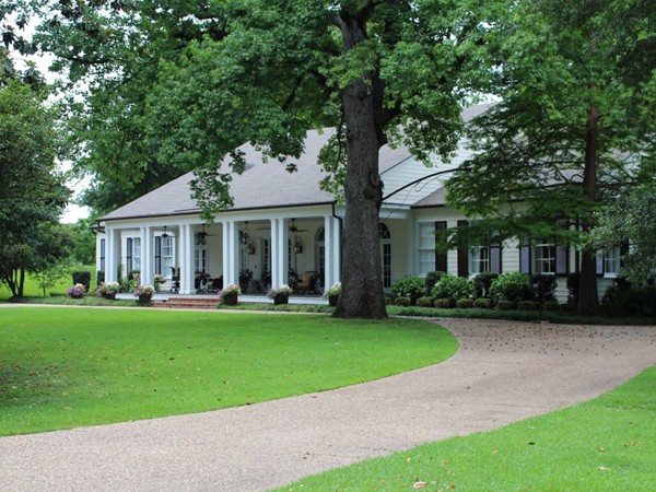 Sprawling green lawns and luxurious homes can be found in Country Club Place