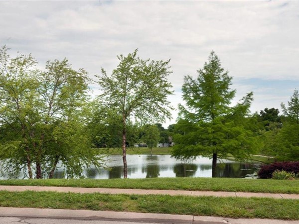 A lake in Belton near Summerset Hills Subdivision