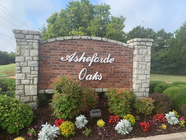 Welcome to Asheforde Oaks 